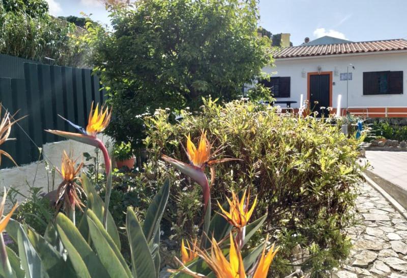 Casa De Campo Em Sesimbra Exterior foto